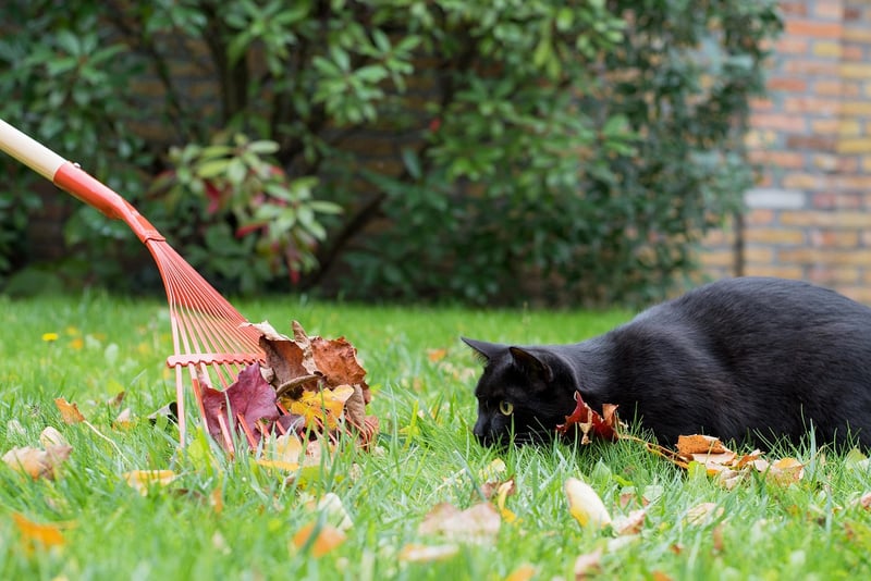 Gardening Image